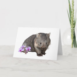 Tarjeta Orquídea de Wombat y Cooktown