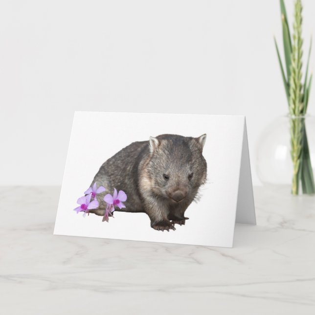 Tarjeta Orquídea de Wombat y Cooktown (Anverso)