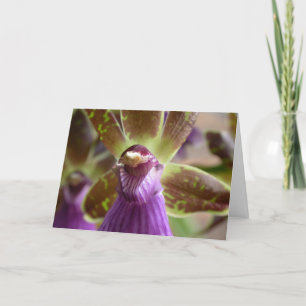 Tarjeta Orquídea de Zygopetalum