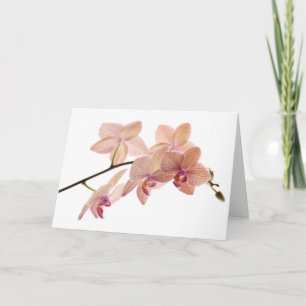 Tarjeta Orquídea Dendrobium rosa y rosa - Personalizada