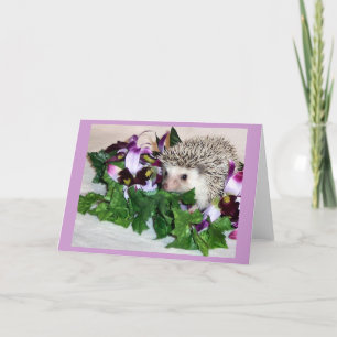 Tarjeta Orquídea el erizo
