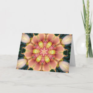 Tarjeta Orquídea Flor Mandala