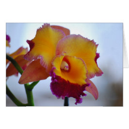 Tarjeta Orquídea naranja y Violet Cattleya