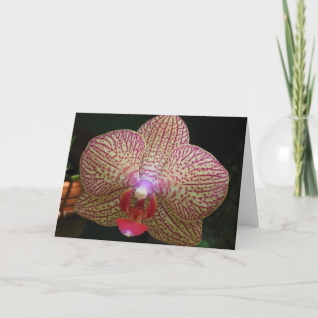 Tarjeta Orquídea Notecard (Anverso)