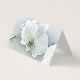 Tarjeta Orquídea Phalaenopsis Blanca
