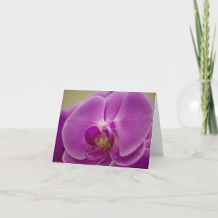Tarjeta Orquídea púrpura