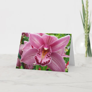Tarjeta Orquídea Púrpura Elegante Floral