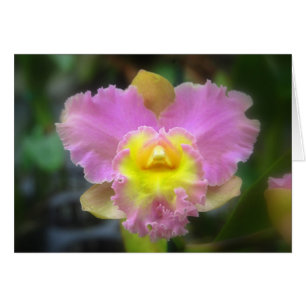 Tarjeta Orquídea Rosa Cattleya