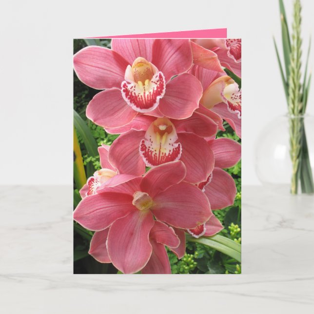 Tarjeta Orquídea rosa de salmón (Anverso)