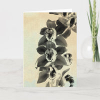 Orquídea Rubor Paneles IV