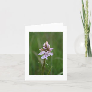 Tarjeta Orquídea salvaje Notecard