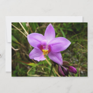 Tarjeta Orquídea Silvestre Flor Tropical Púrpura