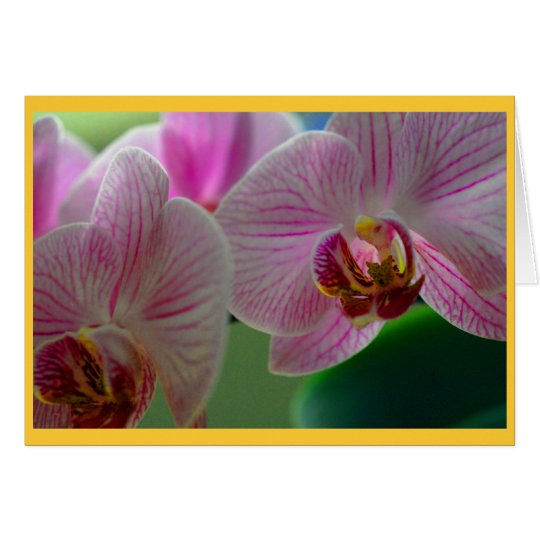 Tarjeta Orquídeas