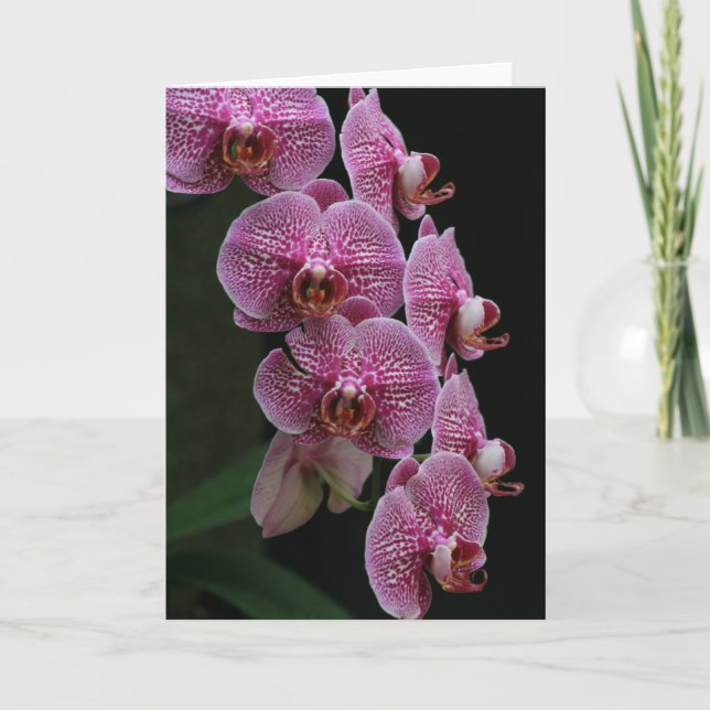 Tarjeta Orquídeas (Anverso)