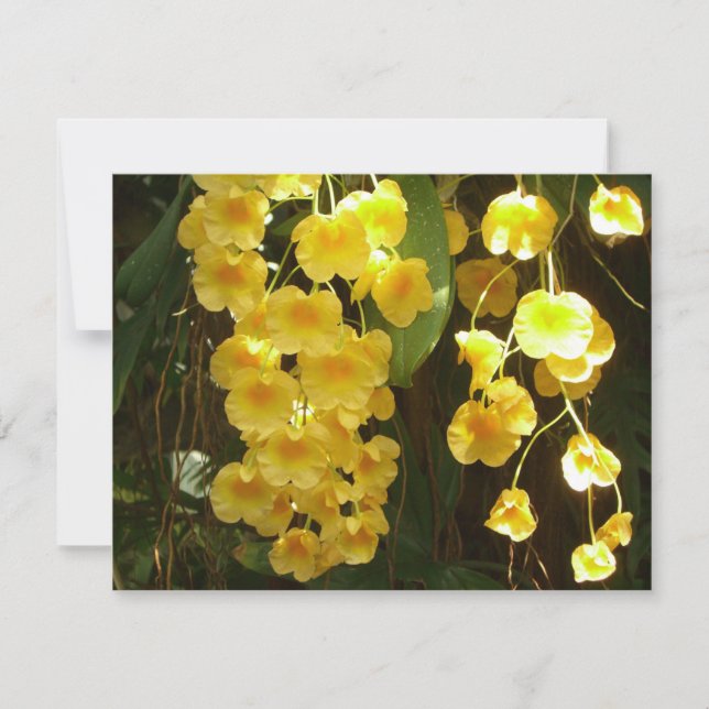 Tarjeta Orquídeas Amarillas colgando flores tropicales (Anverso)