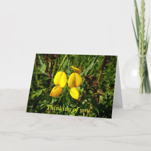 Tarjeta Orquídeas amarillas silvestres