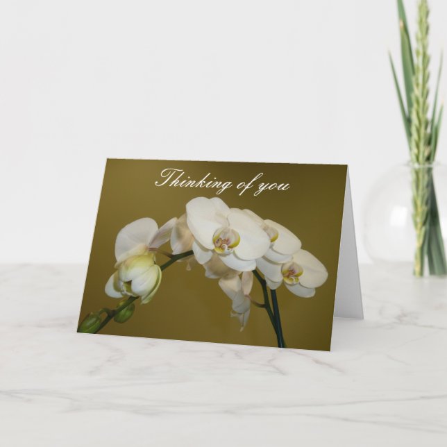 Tarjeta Orquídeas Blancas (Anverso)