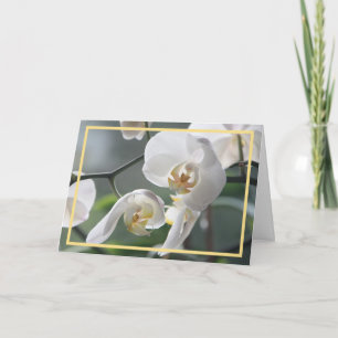 Tarjeta Orquídeas Blancas Modernas Elegantes Marco Dorado