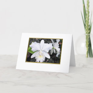 Tarjeta Orquídeas blancas quebradizas en un espacio en