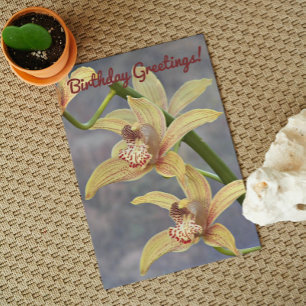 Tarjeta Orquídeas Cymbidium manchadas Cumpleaños floral