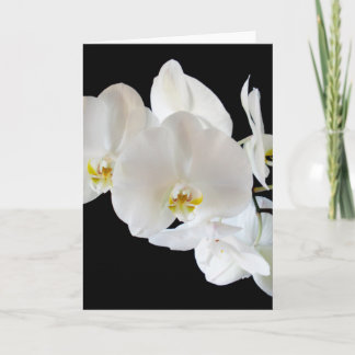 Tarjeta Orquídeas de Falenopsis Blanca