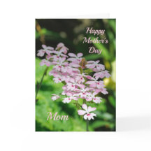 Orquídeas Día de la Madre