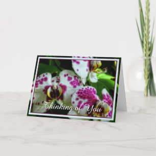 Tarjeta Orquídeas manchadas