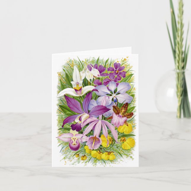 Tarjeta Orquídeas Notecard floral de la antigüedad/del (Anverso)