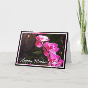Tarjeta Orquídeas rosadas
