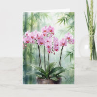 Orquídeas rosadas de simpatía sobre bambú verde