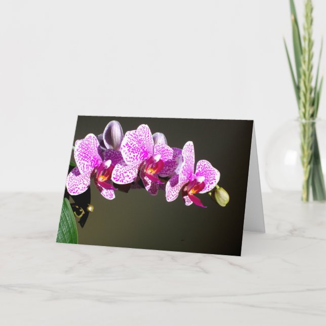 Tarjeta Orquídeas rosas (Anverso)