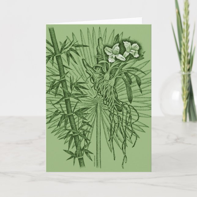 Tarjeta Orquídeas verdes (Anverso)