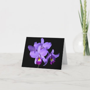 Tarjeta Orquídeas violetas púrpuras de la berenjena que