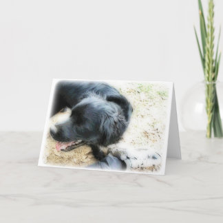 Tarjeta Orton Smokey y Matte