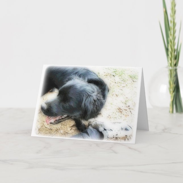 Tarjeta Orton Smokey y Matte (Anverso)