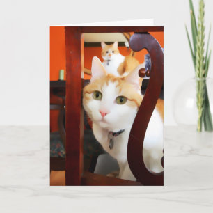 Tarjeta OSCAR y ERNIE heARTcats