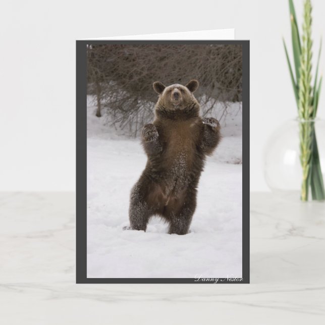 Tarjeta Oso de baile (Anverso)