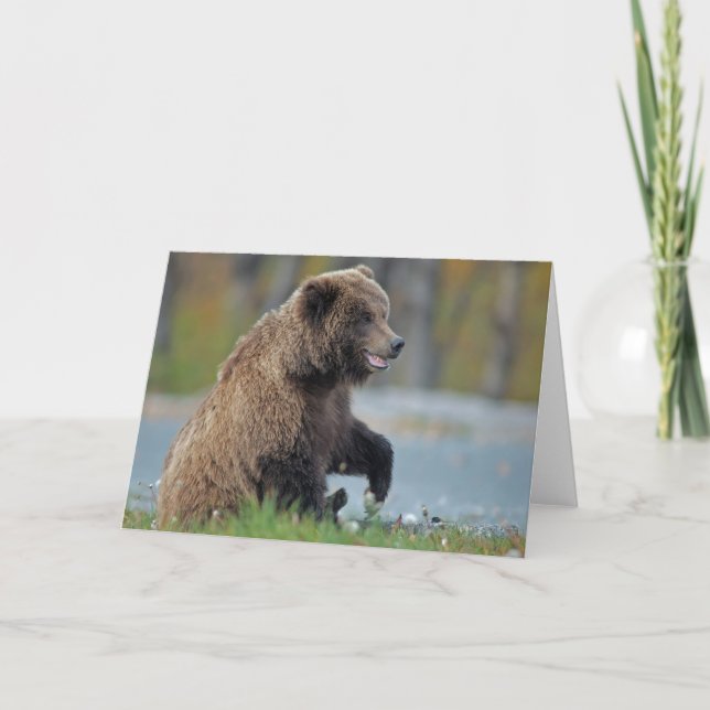 Tarjeta Oso de Brown de Alaska en Kenai NWR (Anverso)