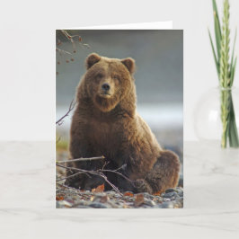 Tarjeta Oso de Brown de Alaska en Kenai NWR, Alaska