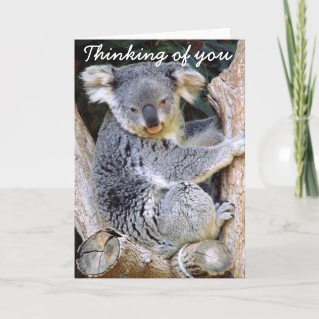 Tarjeta Oso de koala Love_ (Anverso)