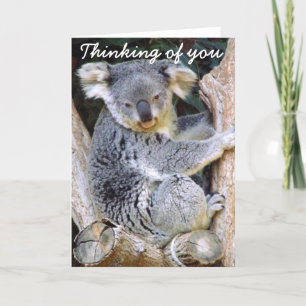 Tarjeta Oso de koala Love_