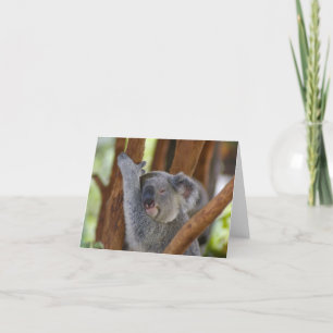 Tarjeta Oso de koala Notecard