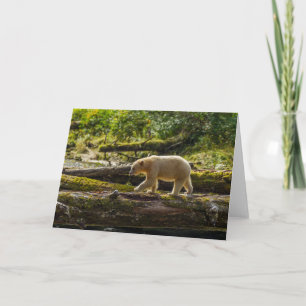 Tarjeta Oso Espíritu Blanco Caza