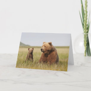 Tarjeta Oso grizzly con Cub