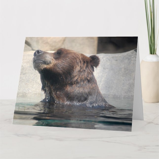 Tarjeta Oso Grizzly lindo jugando en el agua (Anverso)