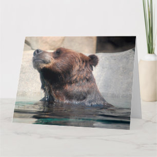 Tarjeta Oso Grizzly lindo jugando en el agua
