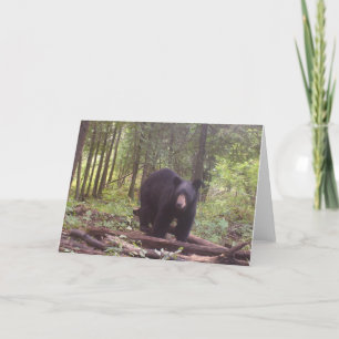 Tarjeta Oso negro