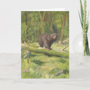 Tarjeta Oso Negro Adirondack 1902