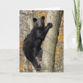 Tarjeta Oso negro americano trepando un árbol