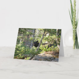 Tarjeta Oso negro en Gran Tetón